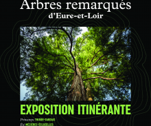 affiche_expo_arbres_remarques_cd28.png