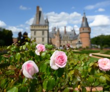 inauguration_week-end_de_la_rose_royale_au_chateau_de_maintenon_02-09-2023st2_4195.jpg